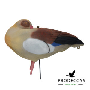 Nijlgans sleepers lokgans