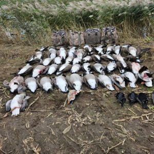 a4479a39-3099-4332-a00a-41173200d1c7