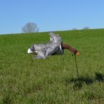 invallende windsock grauwe gans ganzenlokker