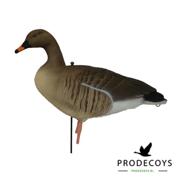 bean goose pink footed goose decoys sentry