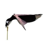 Canadese gans hypa flap
