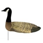Sillosocks Canadese gans