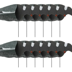 Locktauben Sillosocks 12 Stück