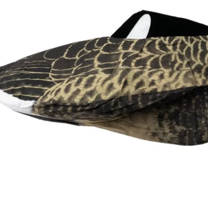 Kanadagans schlafend 2