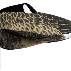 Kanadagans schlafend 3