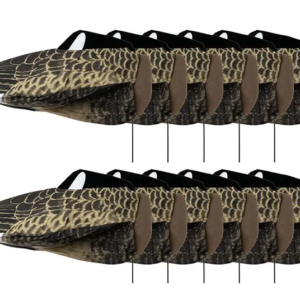 Kanadagans schlafend