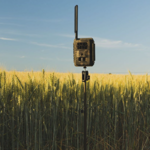 Stativ mit Erdspieß für Wildtierkameras