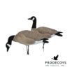 Elite series Kanada Lockgänse 6 Stück