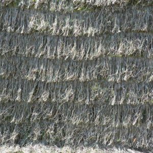 Ghillie-Netz 150x400cm grün Grasland-Wald