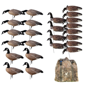 Kanadagans Werteset Ultraleicht