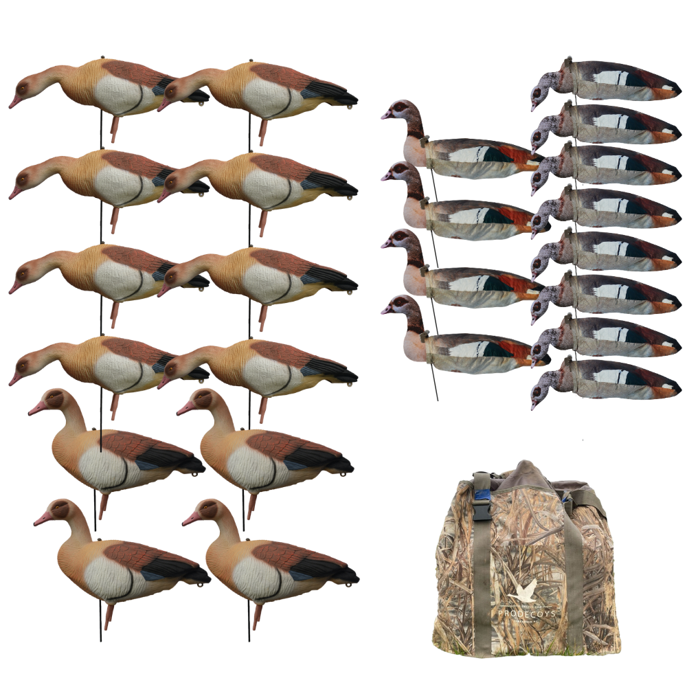 Value pack 12 Stück - Nilgans